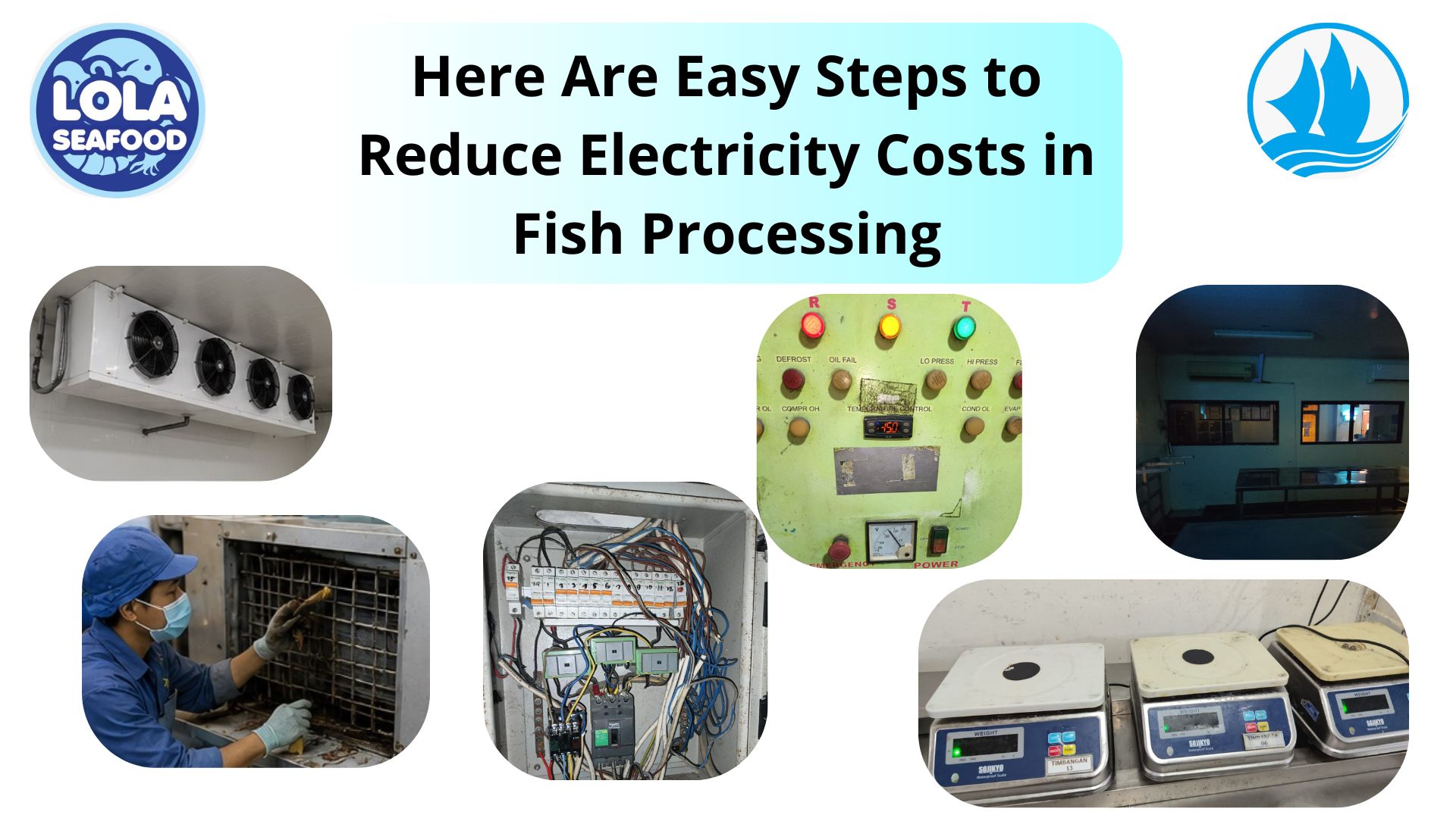 Here Are Easy Steps to Reduce Electricity Costs in Fish Processing